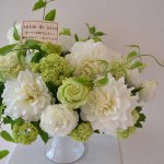 11334427_361719807365885_1774217022_a