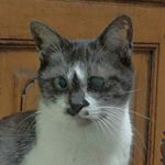 12120213_1637033543180808_1293693924_a