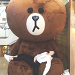 12907273_546142838900826_895520153_a