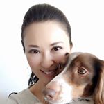 12907439_1592164834407715_1957047760_a