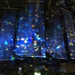 13167368_892777110831028_343019417_a