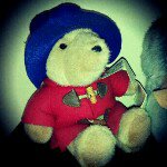 11374071_132656193742521_2059249706_a