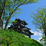 13183489_892298850916565_2032736833_a