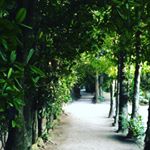 12950383_1060102307390553_1278436944_a