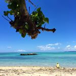 12826005_579411858876206_1154861284_a