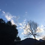 12677158_1654854571442667_468147106_a