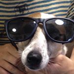 11429683_1461233154203170_163476600_a