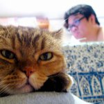 11376311_1148478381846030_1876993515_a