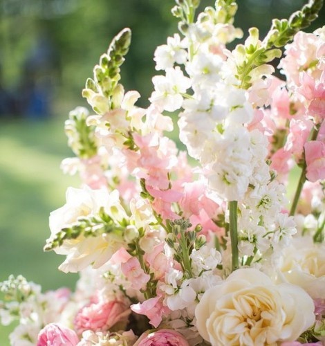 7de921982f78024871447241393b6374