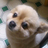 A2d98262761a2bd139c7c96286c9085a normal