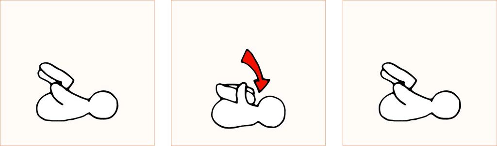 寝ながら下腹部エクササイズの図