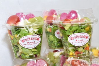 グリーンサラダ（C）モデルプレス