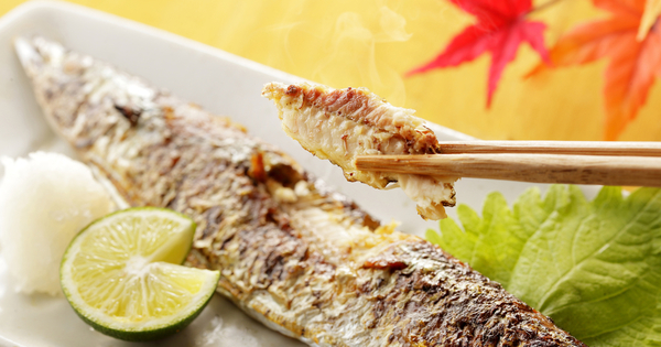 秋の味覚！さんまに隠されたダイエット効果とアレンジレシピ3選