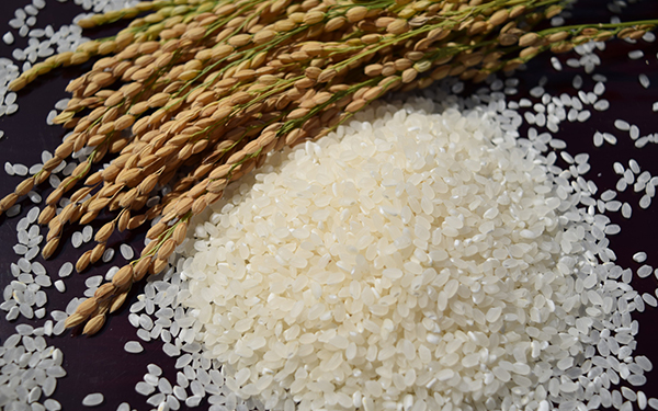 © FRANK - Fotolia.com