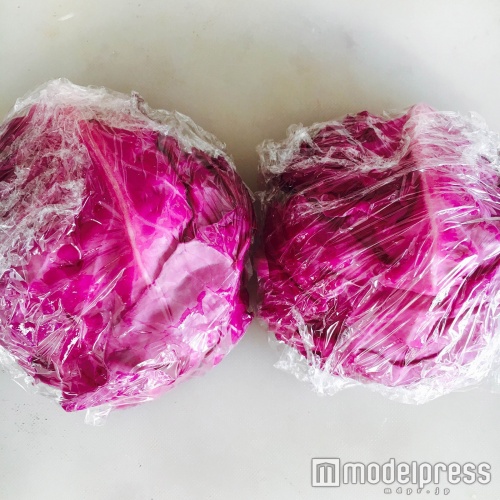 キャベツをチンして柔らかくしよう（C）モデルプレス