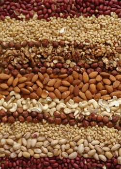 腐りづらく手軽に持ち歩ける／Nuts by chornamariya