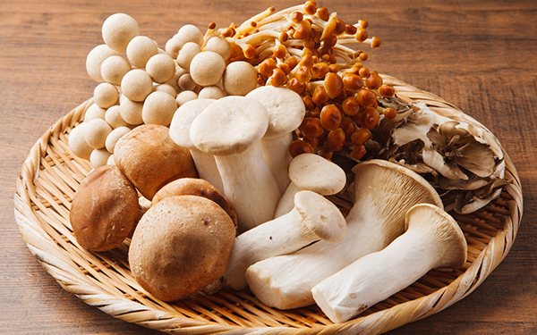 © sasazawa - Fotolia.com