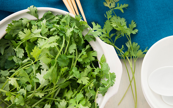 © karin - Fotolia.com