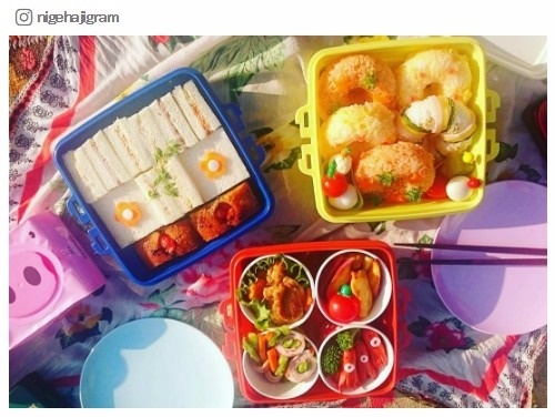 『逃げるは恥だが役に立つ』公式Instagram