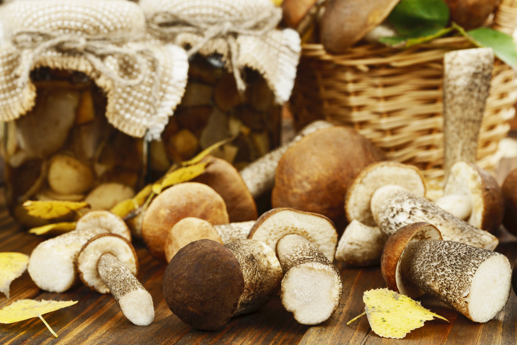 【ピラミッドダービー】愛川ゆず季が1週間「まいたけダイエット」で-4.1kg