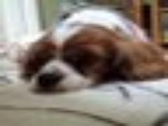 時短レシピでも優秀！肌荒れ予防は明太子パスタにお任せ♡