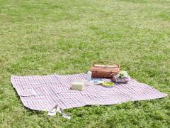 今どきガールなピクニックがしたい！＃おしゃピクに学ぶお洒落アイデア5