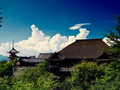 知らなかった日本、見つけた。夏の京都で和を知る観光を