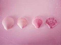 キラキラを閉じ込めて♡夏は“クラッシュシェルネイル”で輝く指先に