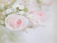 「お得」って言葉が大好きMERY女子！’’詰め放題’’で心トキメク瞬間を