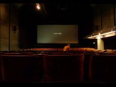 《おうちde映画》5stepでできる極上の映画空間づくり。