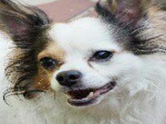 今日は飲むわよ♡おうち女子会にぴったり簡単ワインカクテルレシピ