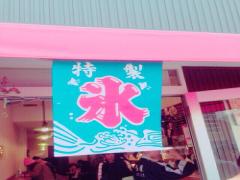 真夏の誘惑を味方に変えろ！野菜から作るヘルシーな「ベジ氷」とは？