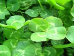 【厳選】おいしく食べて賢くお買い物！韓国旅行で絶対したいこと♡