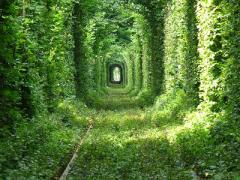 世界でいちばんの恋愛パワースポット《恋のトンネル》がとても幻想的♡