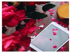 男女ウケを狙え♡今すぐゲットして送りたくなっちゃうゆるカワLINEスタンプ3選