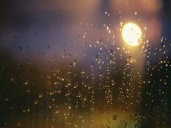 お弁当作りには注意して！梅雨には“食中毒”という名の危険が潜んでいる…