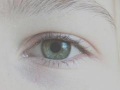 チャンスはたった40日。「まつ毛長いね」が憧れのあなたに、本気のまつ育講座