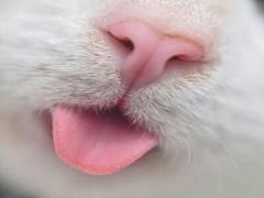 【All￥600】　夏の化粧崩れに救世主！CANMAKEのお直しコスメでいつも完璧な私に♡