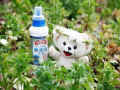 ふわふわのくま、ファーファだよぉ♪SNS投稿写真は癒されること間違い無し！