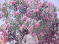 風水が美人に導いてくれる？水と鏡を意識して、美人部屋に模様替えしよう