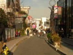 【ノース編】おしゃれさんが集まる場所♡キャットストリートの歩き方♩