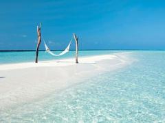 爽やか旋風吹かせます。涼しげブルーカラーで夏の風を感じよう