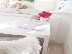 飾り方はあなた次第♡エアープランツは土いらずの魔法の植物インテリア