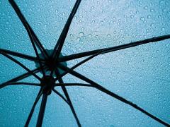 誰も持っていかないでね！ビニール傘につける、自分だけの目印3つ