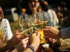 今日は休めないんですっ･･･二日酔いになったら実践すべき撃退法