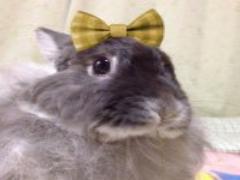 柑橘類のめぐみ。愛媛の無茶茶園発コスメブランドyaetoco（ヤエトコ）がきになる♡