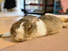 簡単かわいいセルフネイルに使いたいアイテム5選