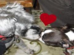 夏の朝のいや～なベタベタを解消！即効サラサラ肌になる制汗剤で気分すっきり