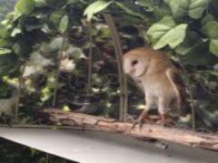 食べた後も可愛い♡チョコ専門店Caffarel（カファレル）のパケ買い缶シリーズ