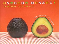 週末ランチは下北沢へGO！アボカド食べ放題店AVOCADOを大調査